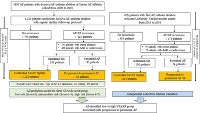 Machine Learning-Predicted Progression to Permanent Atrial Fibrillation After Catheter Ablation